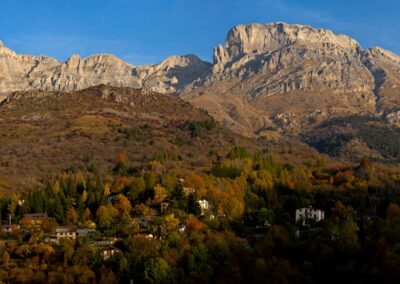 viozene